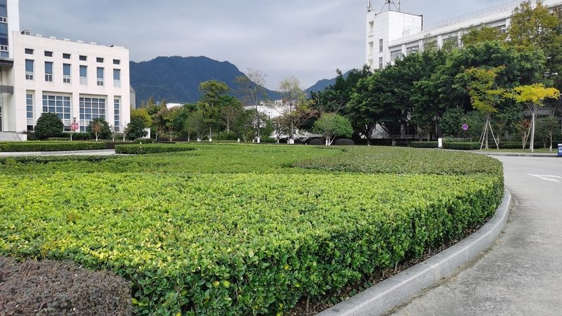 室内绿植墙安装，如何避免常见误区