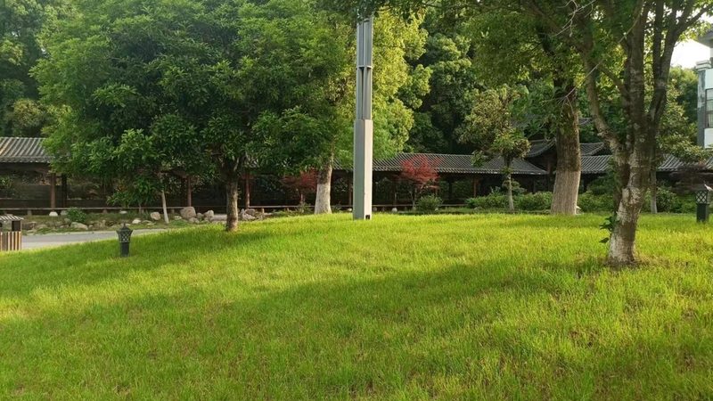 市政绿化灌木修剪，遵循规范保障美观与生长**